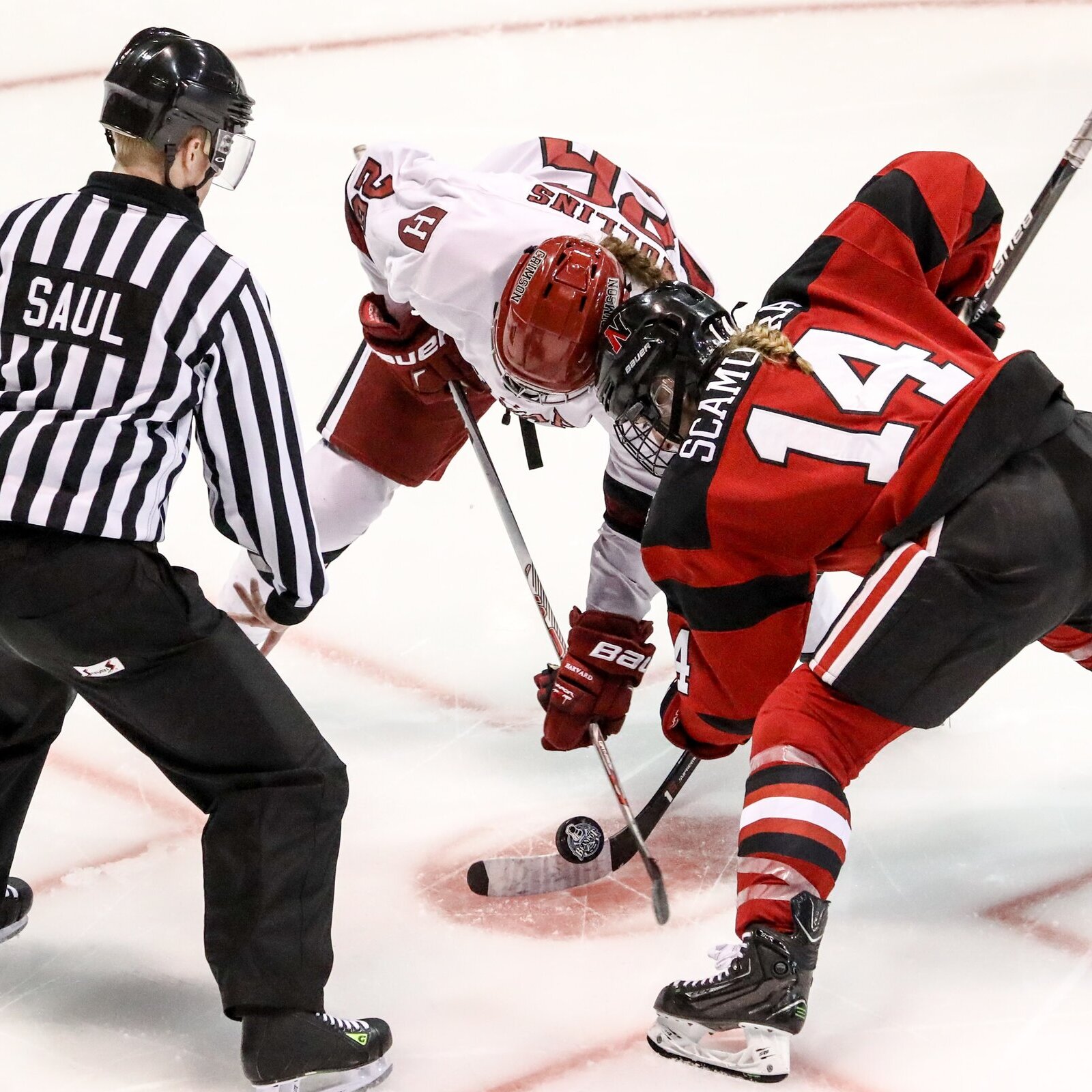 people playing hockey